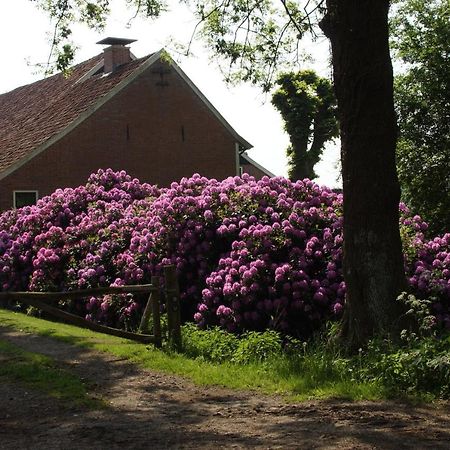 Huis Eedingh Onstwedde エクステリア 写真