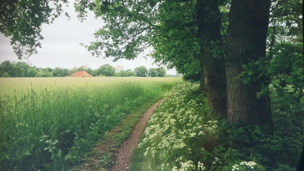 Huis Eedingh Onstwedde エクステリア 写真